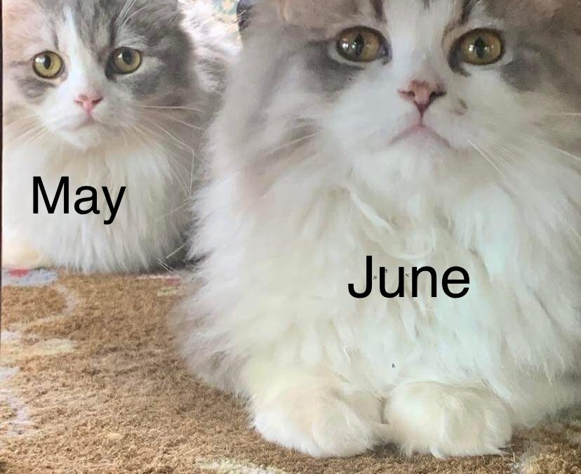 May/June