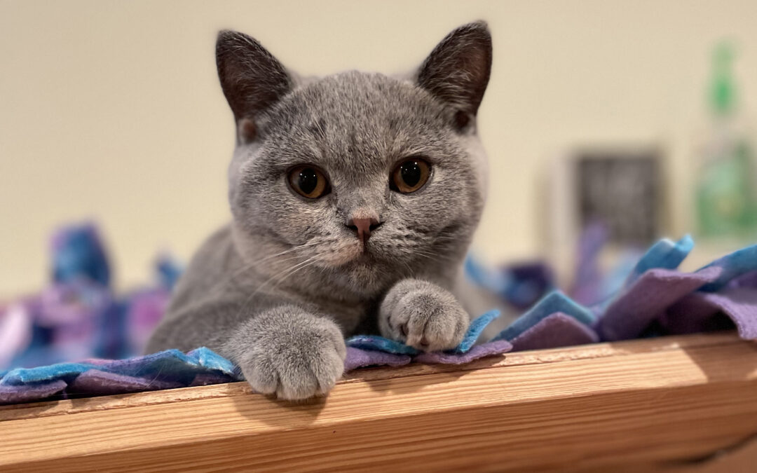 Margo