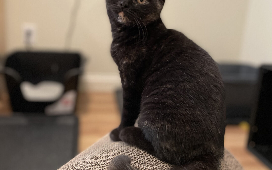 Ruthie